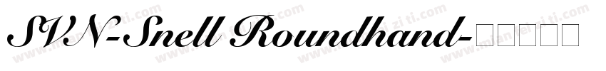 SVN-Snell Roundhand字体转换